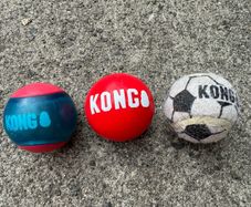 Kong dog ball