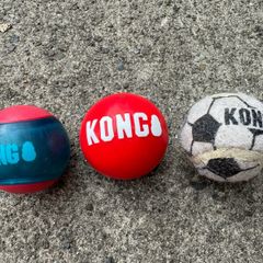 Kong dog ball