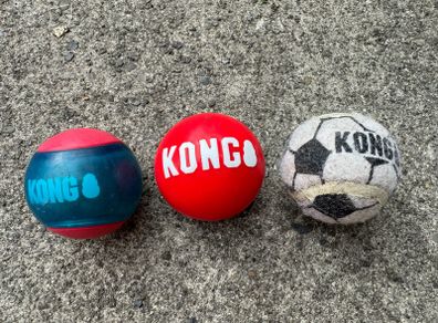 Kong dog ball