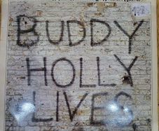 Buddy Holly and The Crickets 20 Golden Greats LP 1978 MCA Records