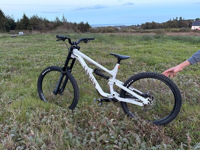 Canyon Torque DH CLLCTV