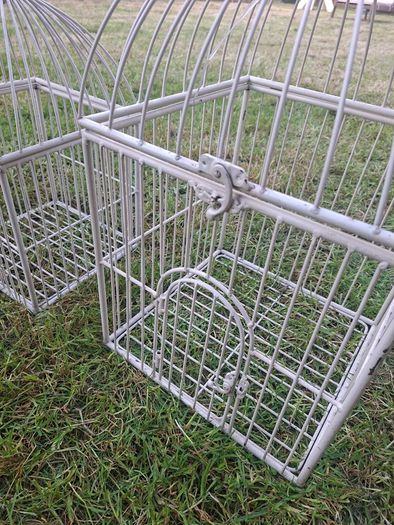 Decorative vintage bird cage display / flower decoration