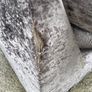 free sofa Image 2