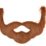 Fake Beard, Party Costume, Halloween Costume Image 2