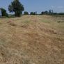 Bales of haylage Image 3