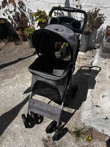 Pet buggy