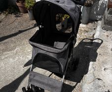 Pet buggy