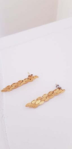Earrings - Gold/Silver Plated