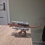 dinosaur toy Image 6