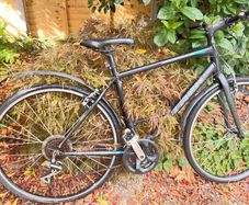 trek bicycle