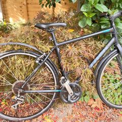 trek bicycle