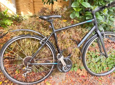 trek bicycle