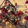Natural Willow Wreath & Cheery Blossom Lights Image 7