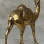 Camel - Polished Bronze Image 10