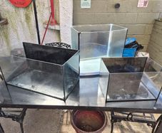 fish tanks