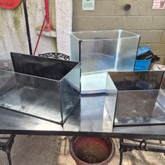 fish tanks