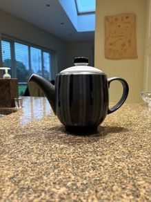 Denby Langley Jet stripes teapot
