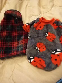 dog bundle
