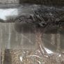 curtain Image 4