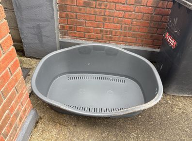dog bed