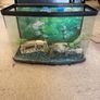 fish tank Image 2