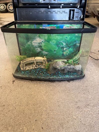 fish tank