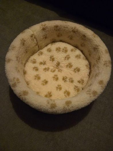cat bed