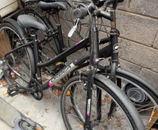 free bikes