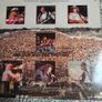 Molly Hatchet, 2 x LPs, Beatin' the odds and Flirtin' with Disaster, Europe copies, with inner sleeves, Southern Rock Image 2