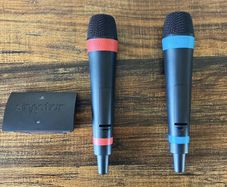 SingStar Wireless Microphones + Receiver (PlayStation)