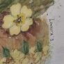Framed Floral Watercolour Image 4
