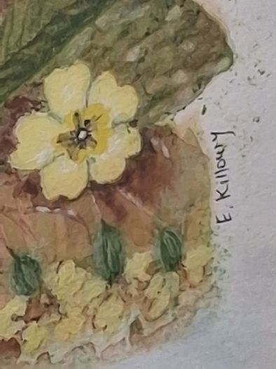 Framed Floral Watercolour