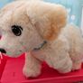 Little Live Pet Image 2