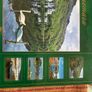Connemara high quality new table mats boxed Image 4