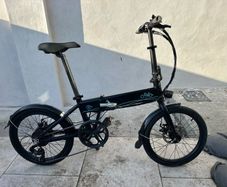 Fiido D4 Electric Bike