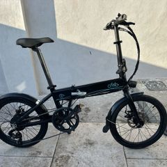 Fiido D4 Electric Bike