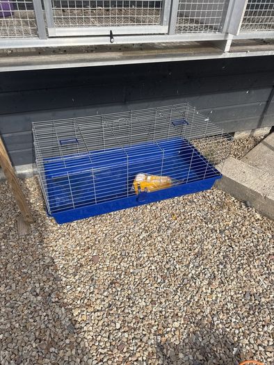 pet cage