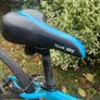 Frog 69 Team Sky Image 2
