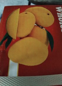 Fresh mangos