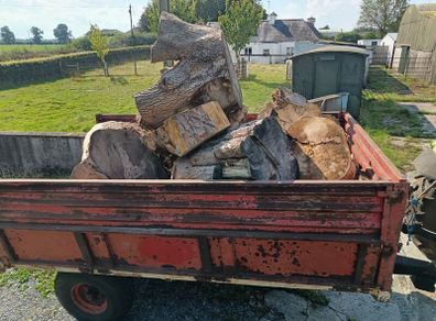 firewood