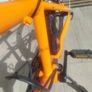 Frog Bike 62 Image 3