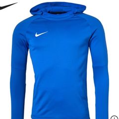 Nike Mens Hoodie Size Large (nwt)