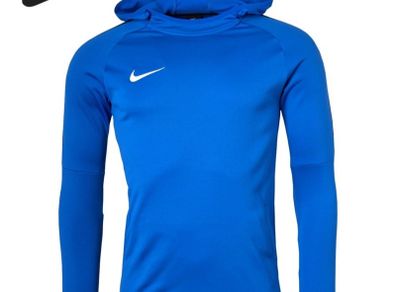 Nike Mens Hoodie Size Large (nwt)