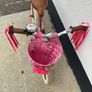 Trybike balance bike Image 3