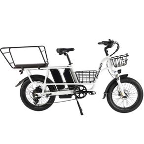 PHILODO TRAVELLER Family & Cargo Electric Bike