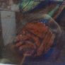 Colin Martin print Image 10