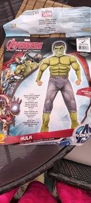 marvel avengers hulk costume