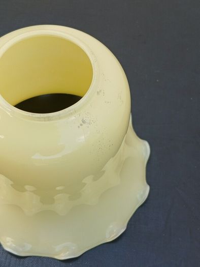 Vintage Lamp Shade