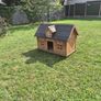 dog house Image 5