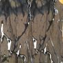 Size 8 Cotton Dress by D. Exterior Italy Image 6